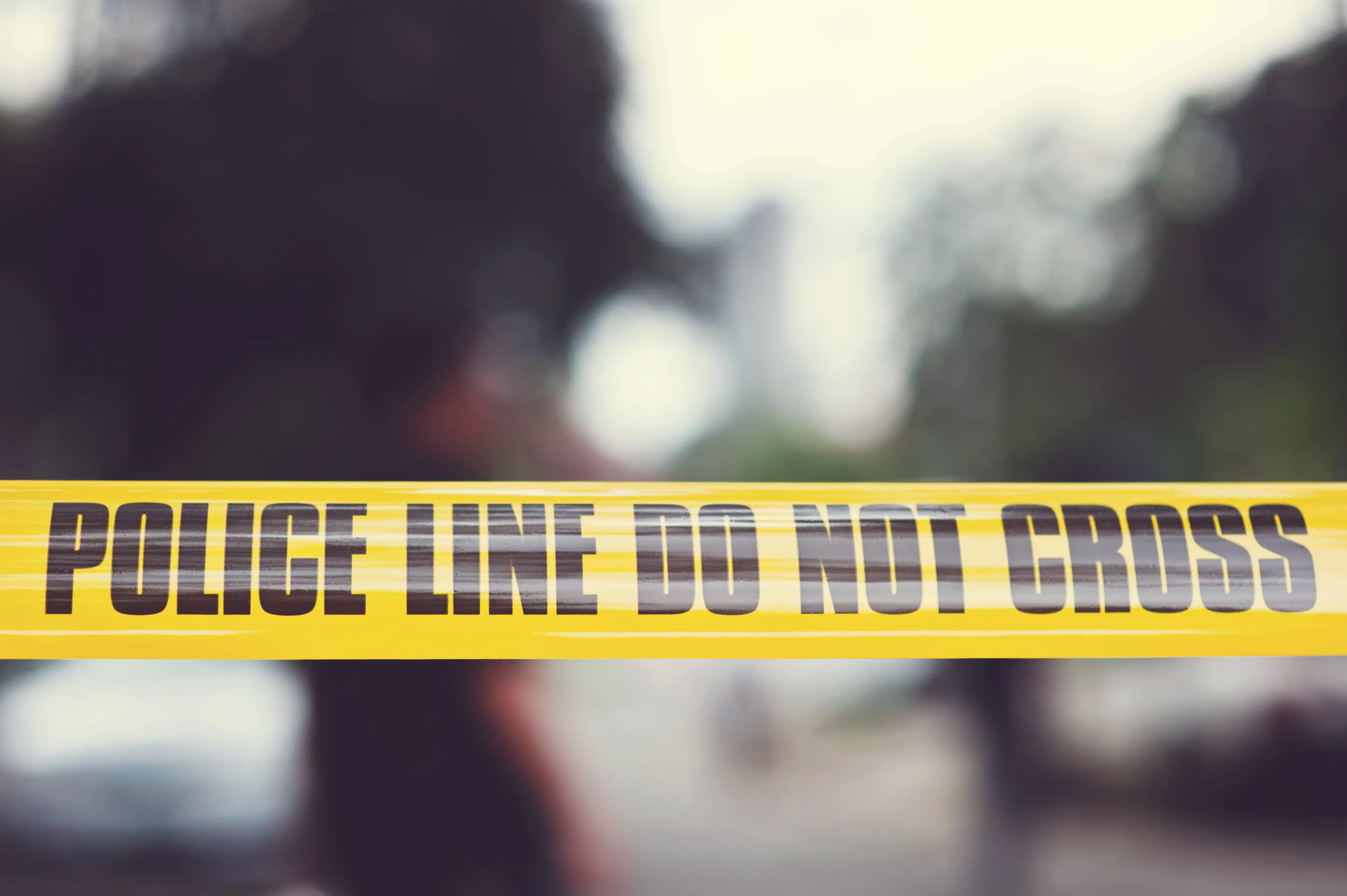 Moldt’s disappearance had baffled police for decades.