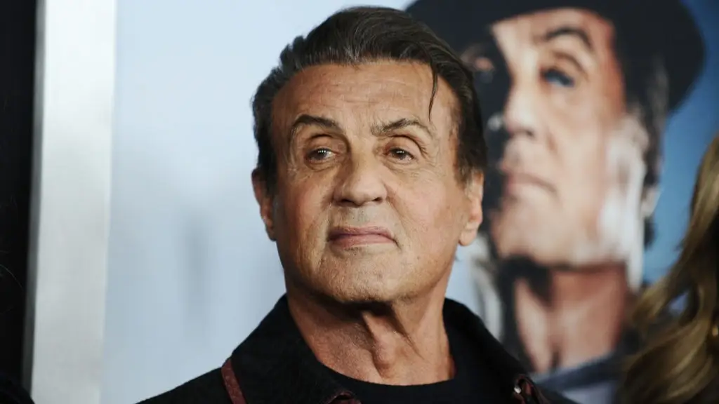 Daniel Zuchnik/WireImage