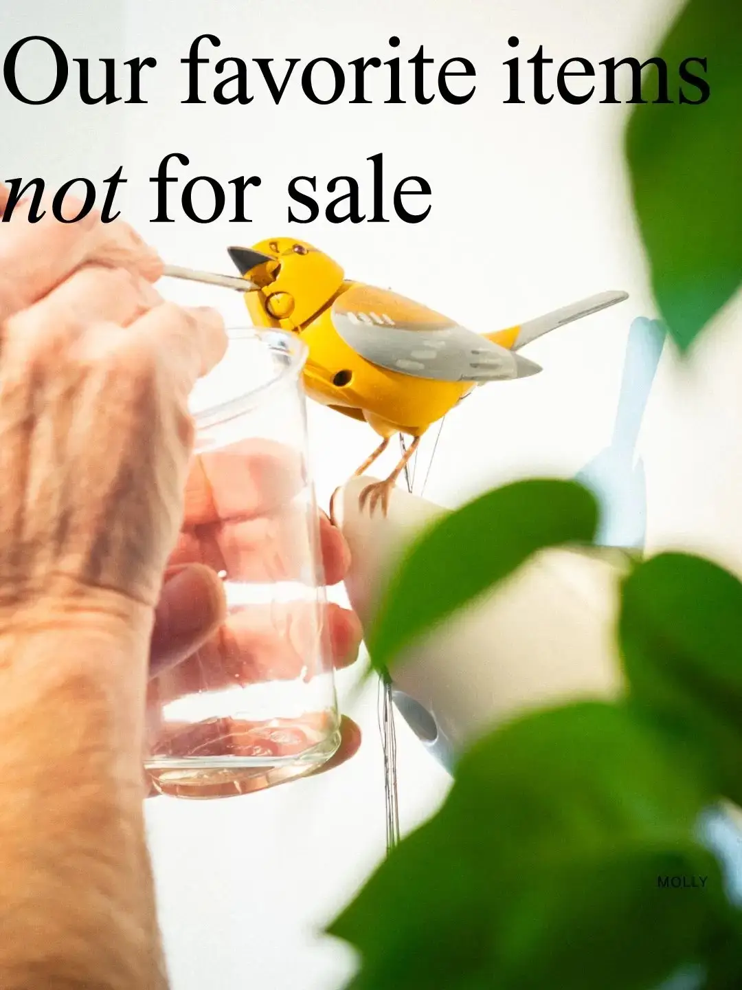 The store has claimed Clarkson wanted to purchase ‘Molly’ - a singing and dancing bird that is not for sale (Instagram/@artofplay)