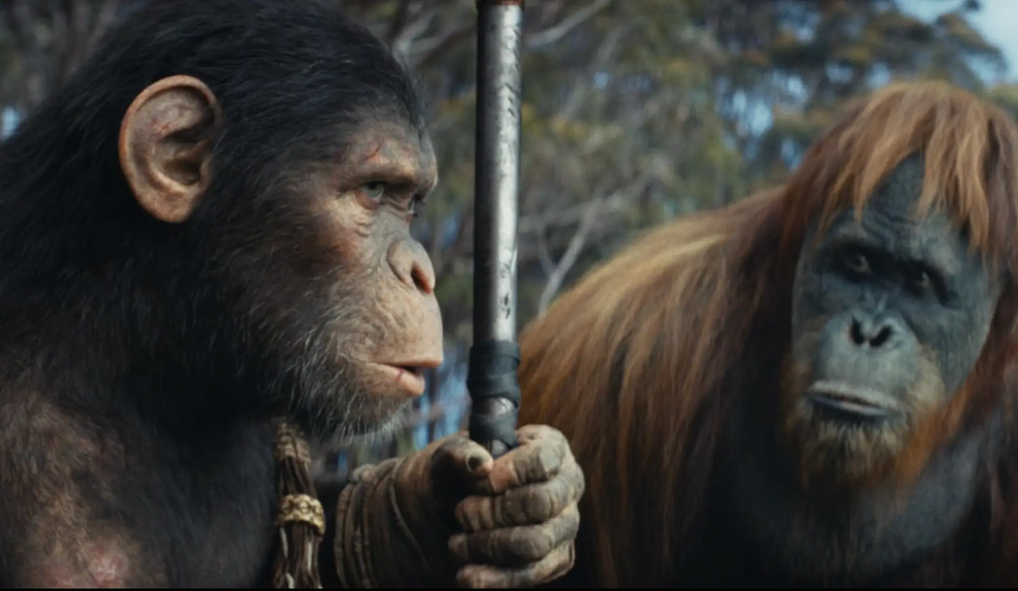 Ball assured there are big plans for its sequels.(20th Century Studios)