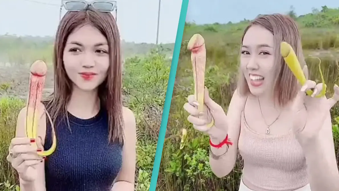 Cambodian Government Asks People To Stop Picking Rare 'Penis Plant'