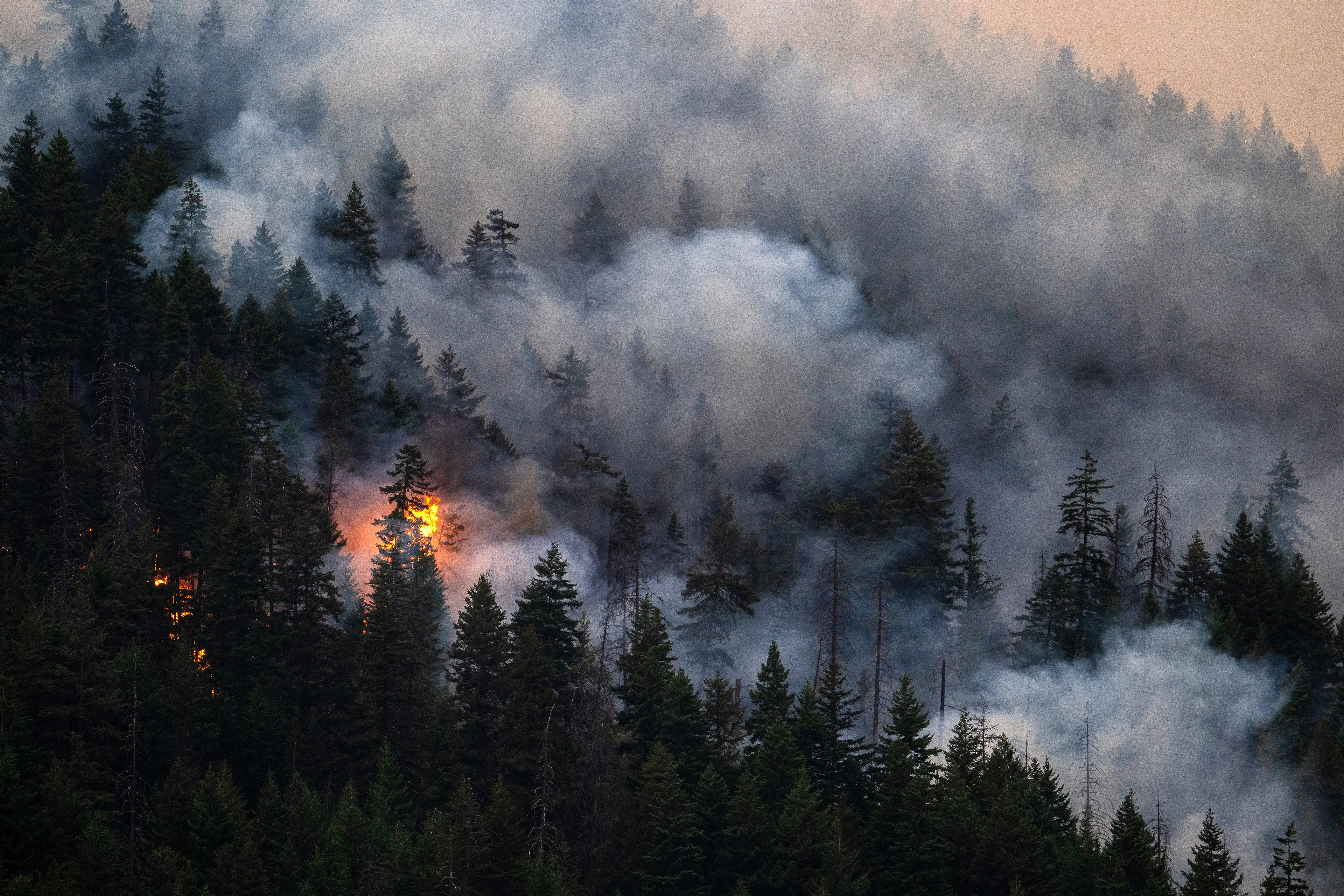 Raging wildfires have been spreading through Canada (James MacDonald/Bloomberg via Getty Images)