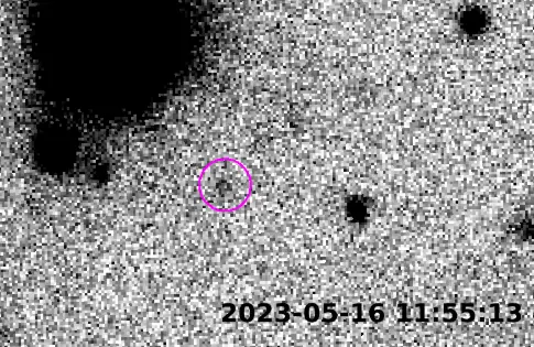 Ammonite has been tracked (NAOJ/ASIAA)