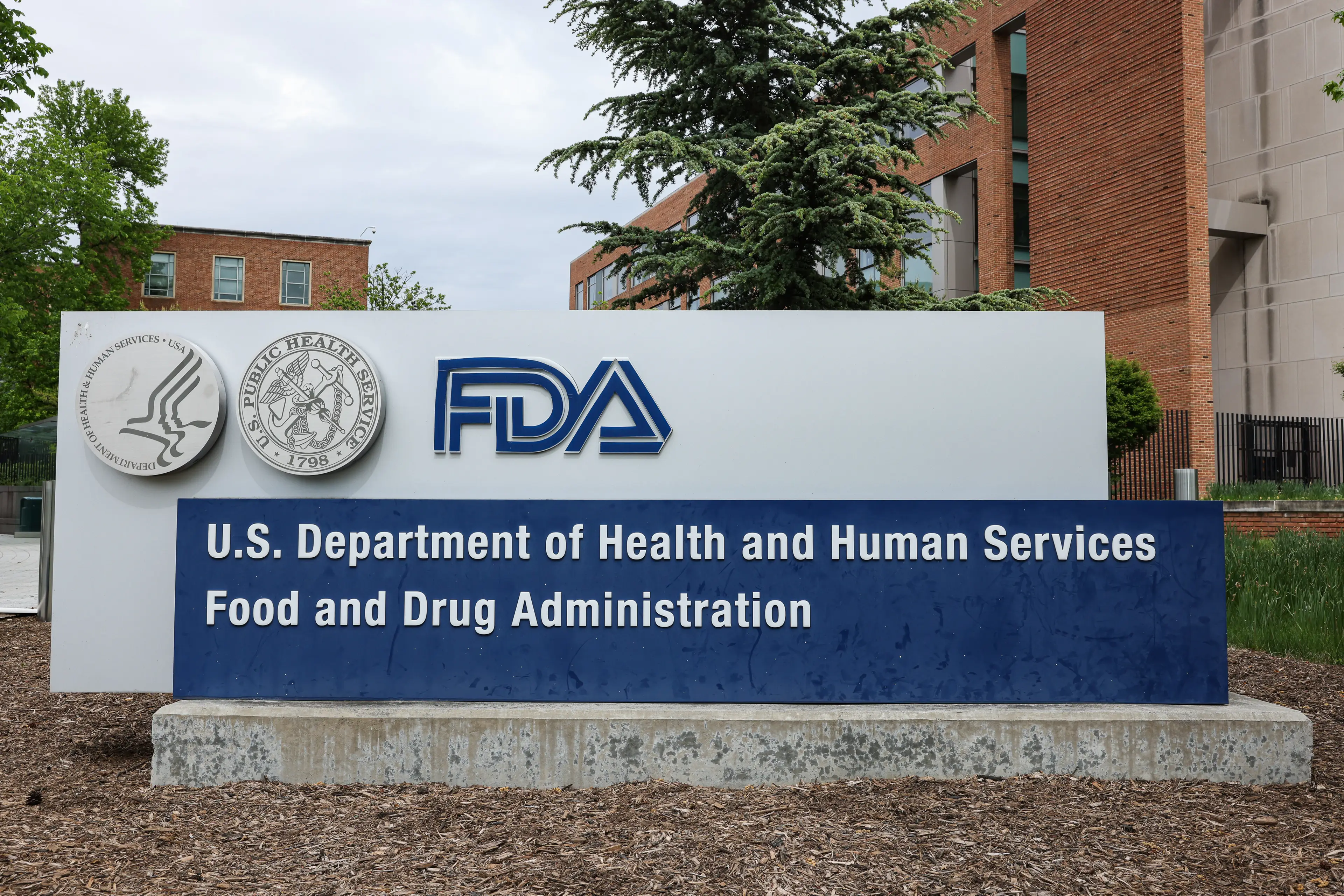 The FDA has not formally approved 'reta' yet (Valerie Plesch/Bloomberg via Getty Images)
