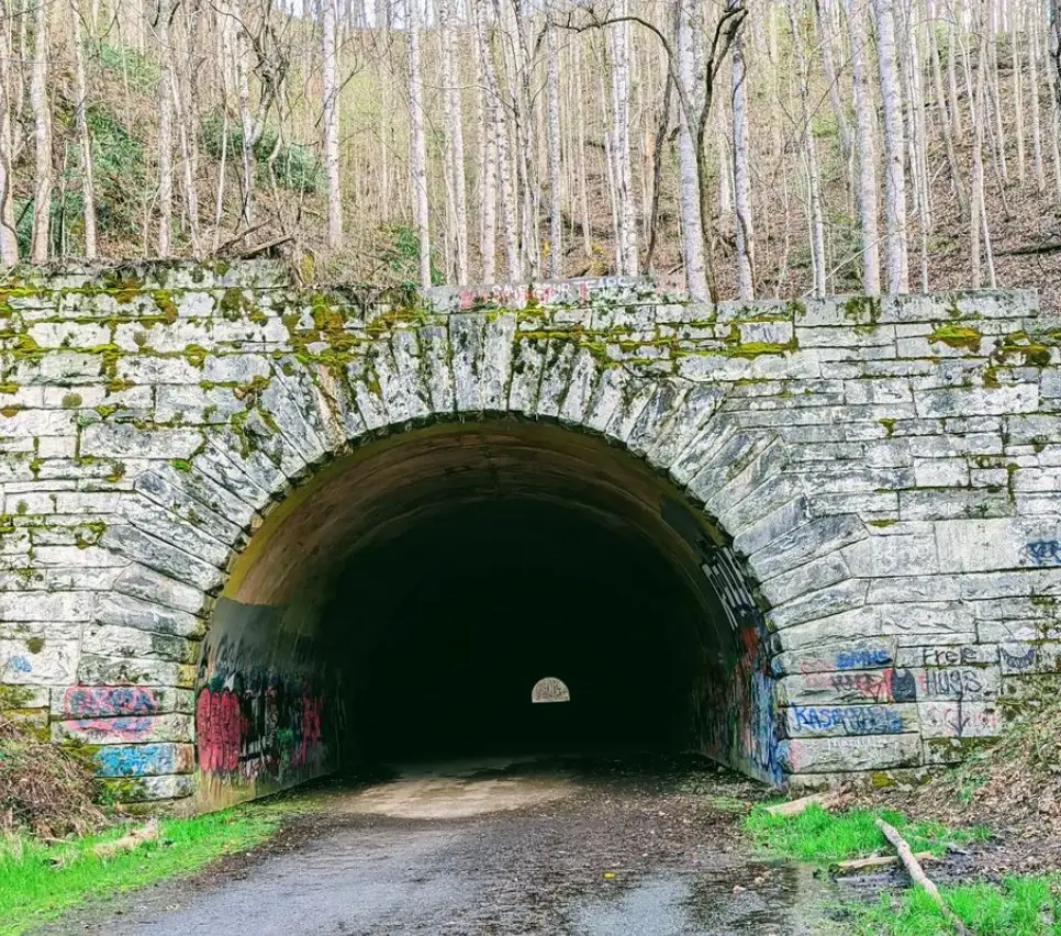 The road to nowehere ends in Great Smoky Mountains National Park.