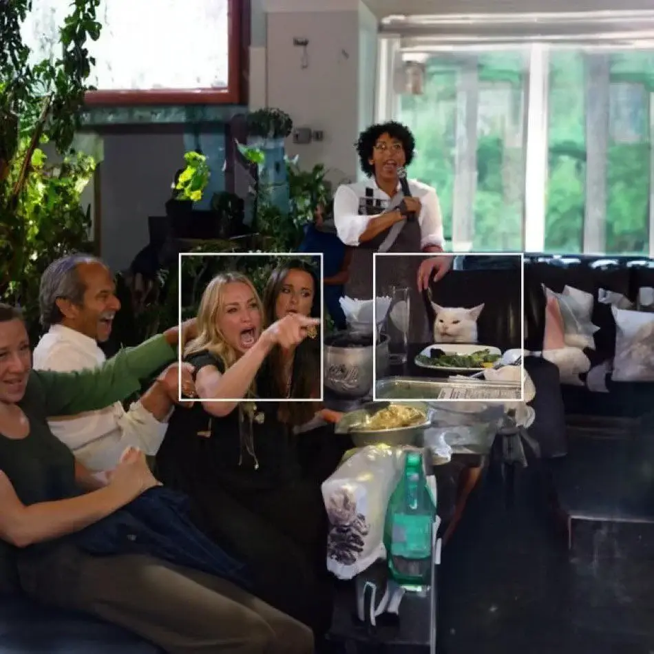 Was this what was going on when the woman yelled at a cat?