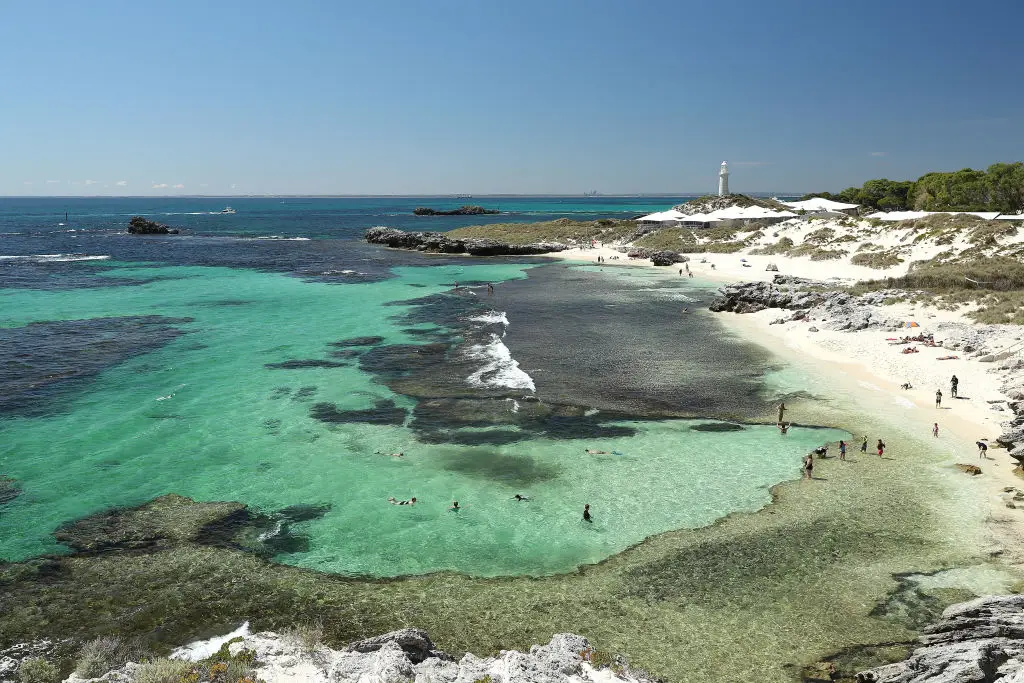 Rottnest Island is a very popular tourist destination (Photo by Paul Kane/Getty Images)