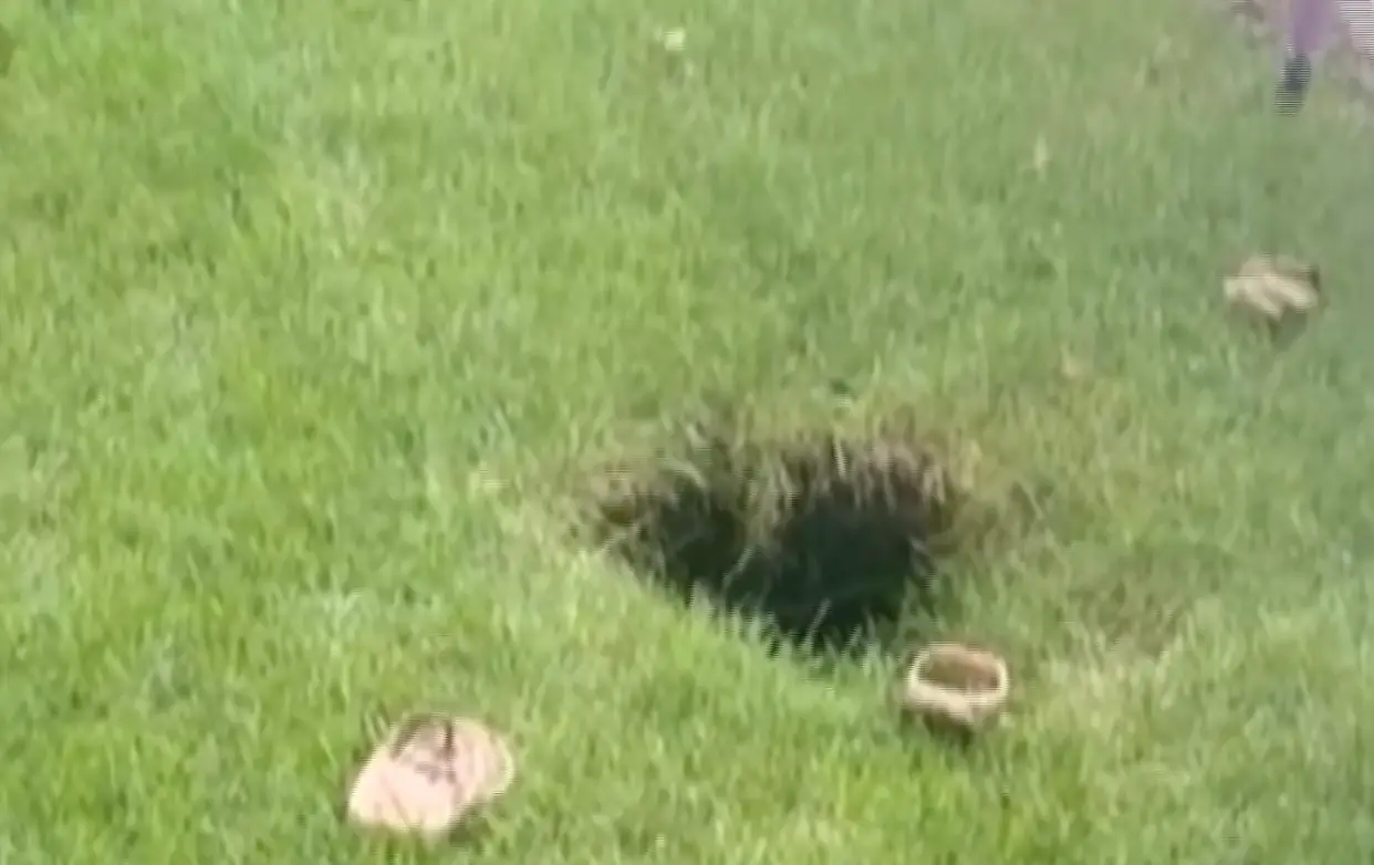 Danielle fell into a sinkhole in her back garden (Inside Edition)