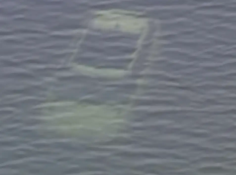 The car was nine feet deep in the water (CBS Philadelphia)