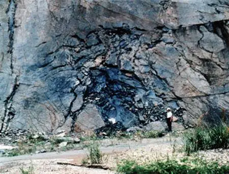 The fossil natural fission reactor was discovered as an ore in Africa (United States Department of Energy)