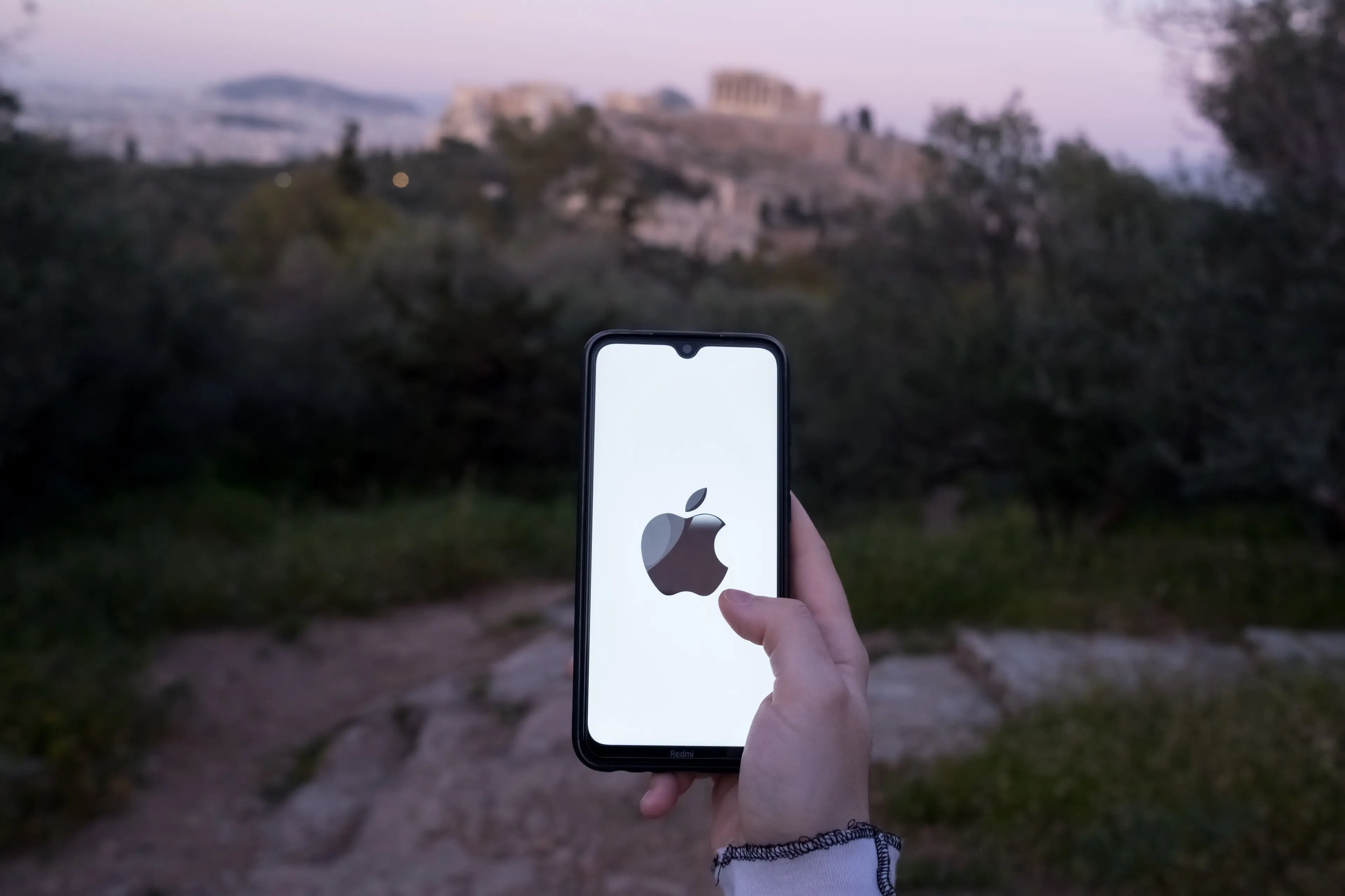 Apple is in search of something new.