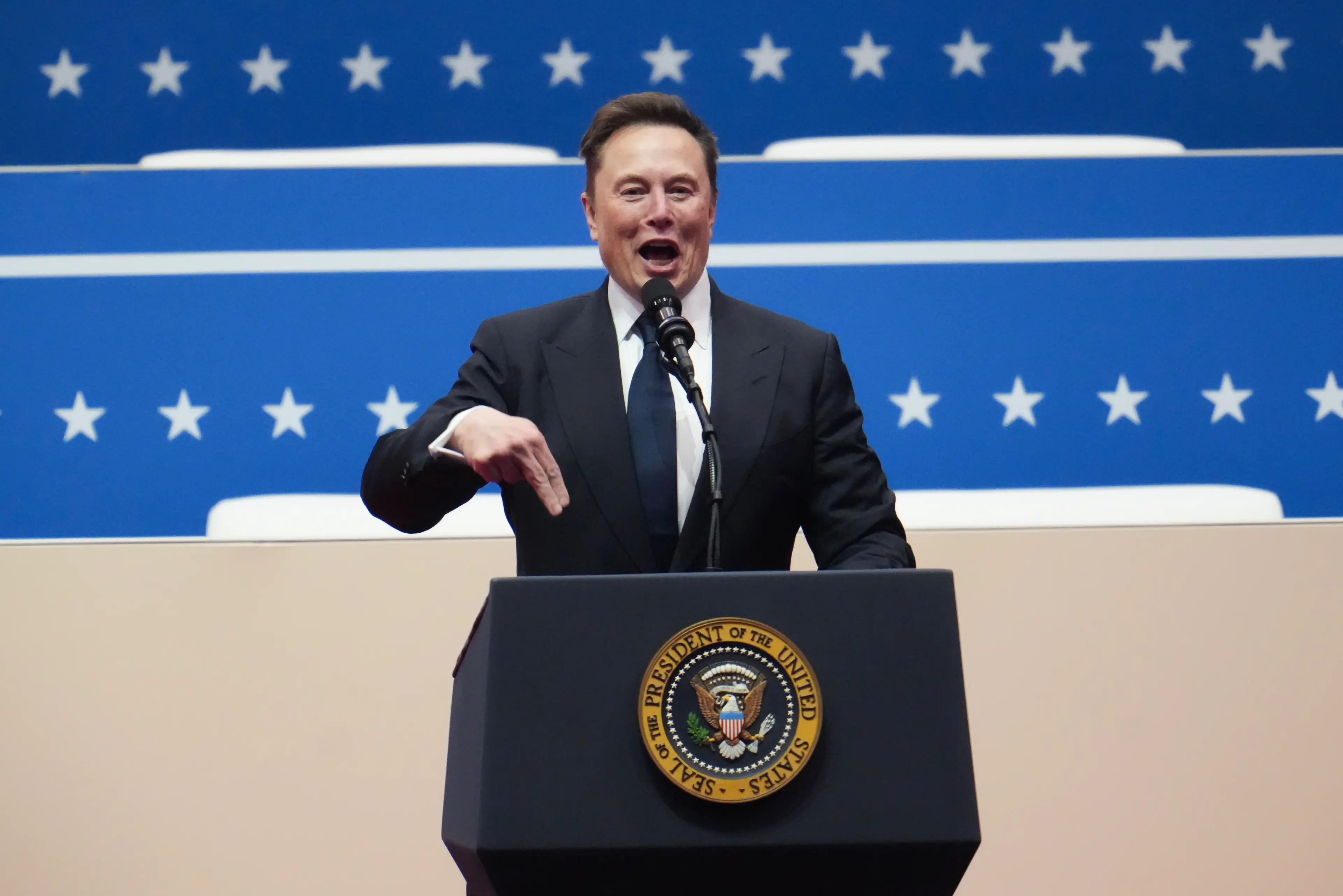 Musk has dubbed USAid a 'criminal organization' (Christopher Furlong/Getty Images)