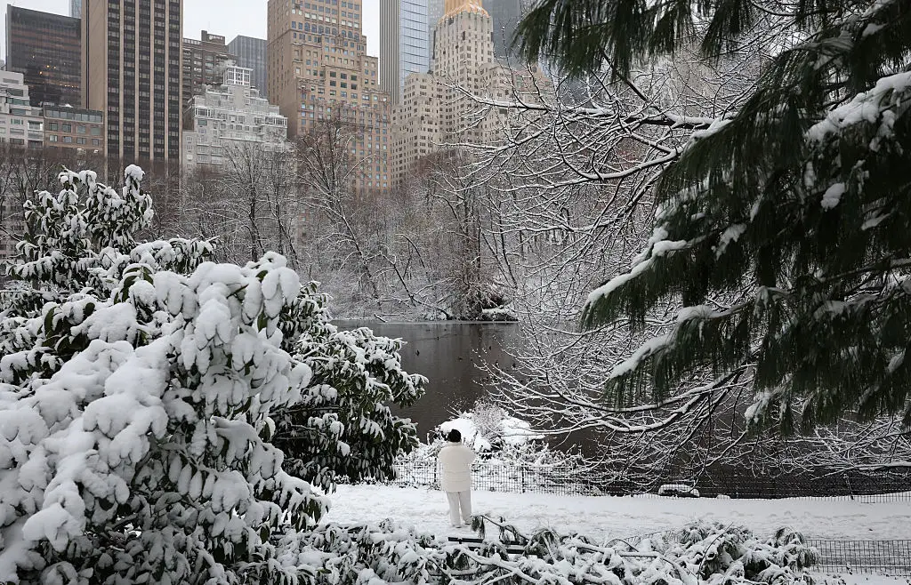 New York City has been battered with heavy snow in recent days (TIMOTHY A. CLARY / AFP via Getty Images)