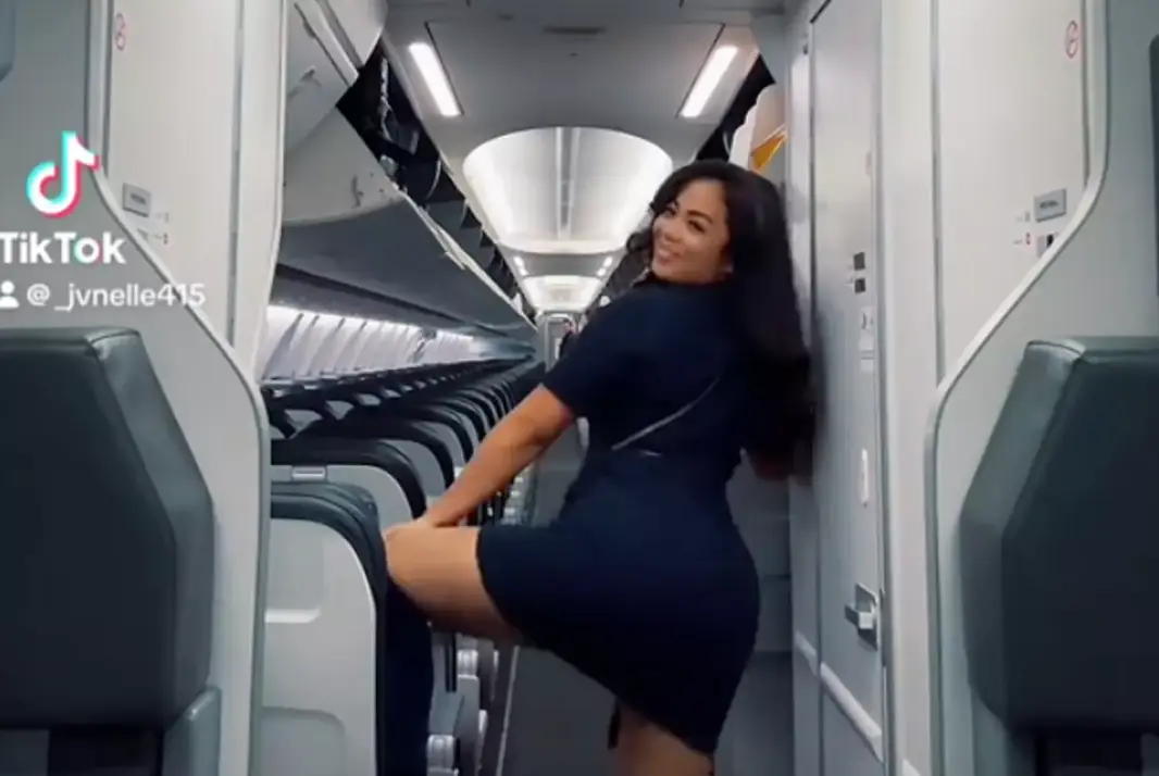The flight attendant was fired (TikTok/ @_jvnelle415)