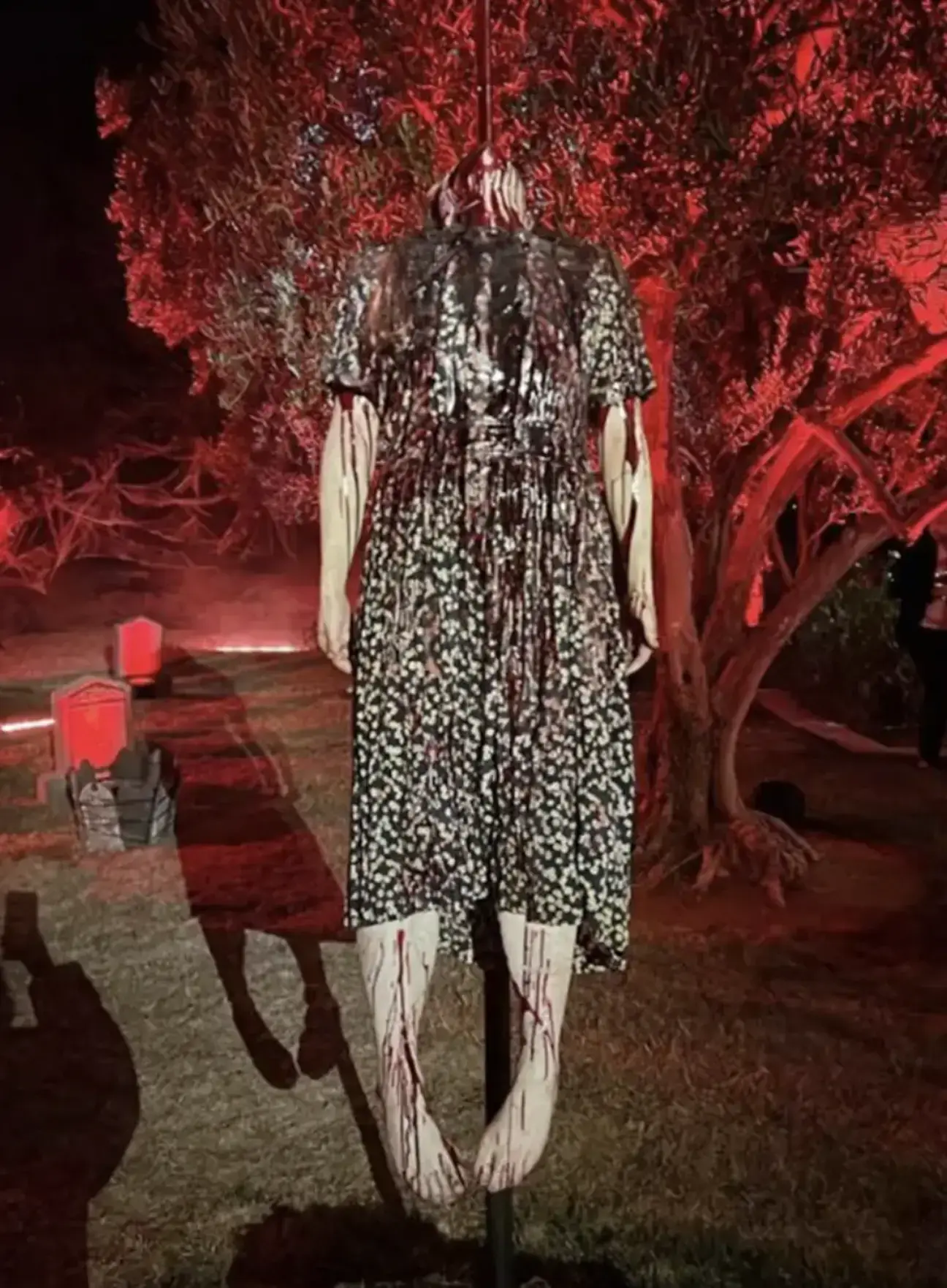 Some people said the star went too far this year.