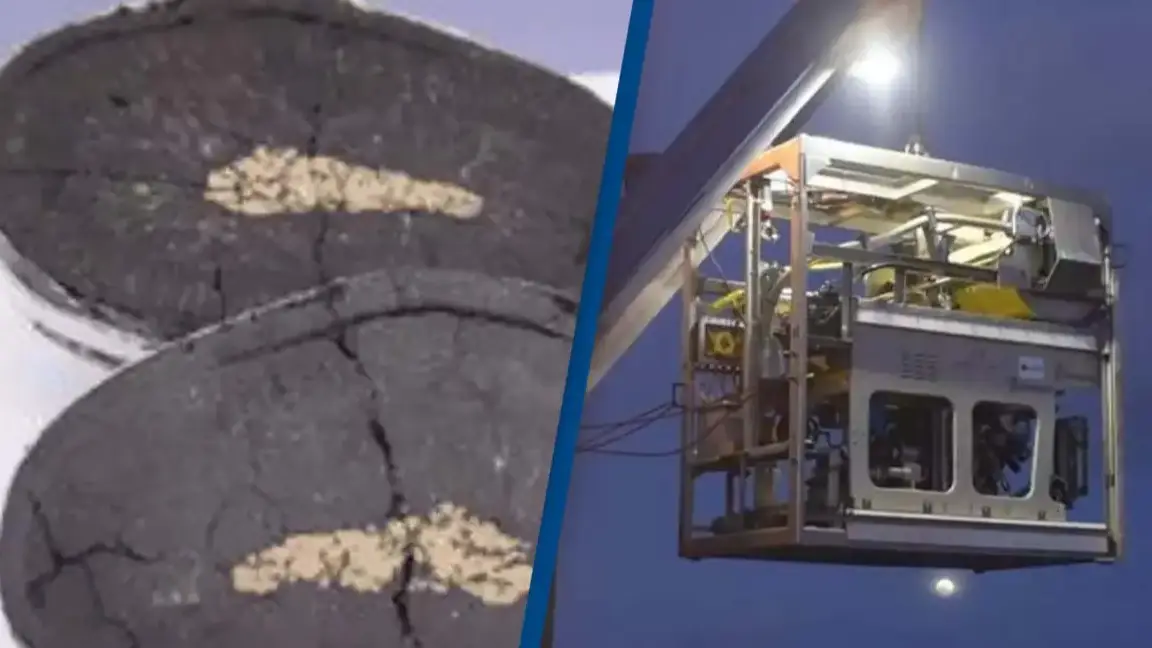 The Nippon Foundation