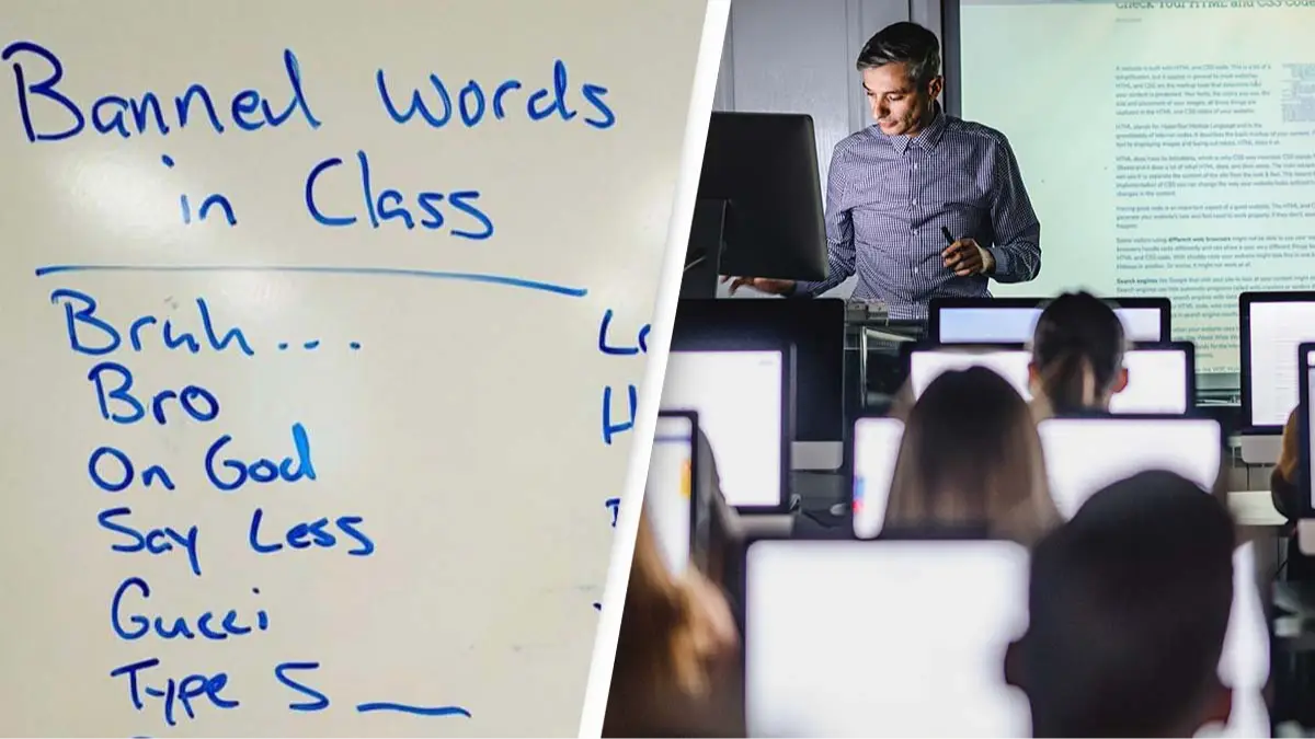 Reddit/u/Signal-Replacement85 / Getty Stock Images