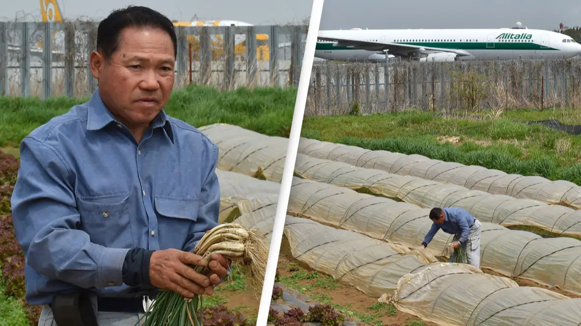 KAZUHIRO NOGI / Contributor