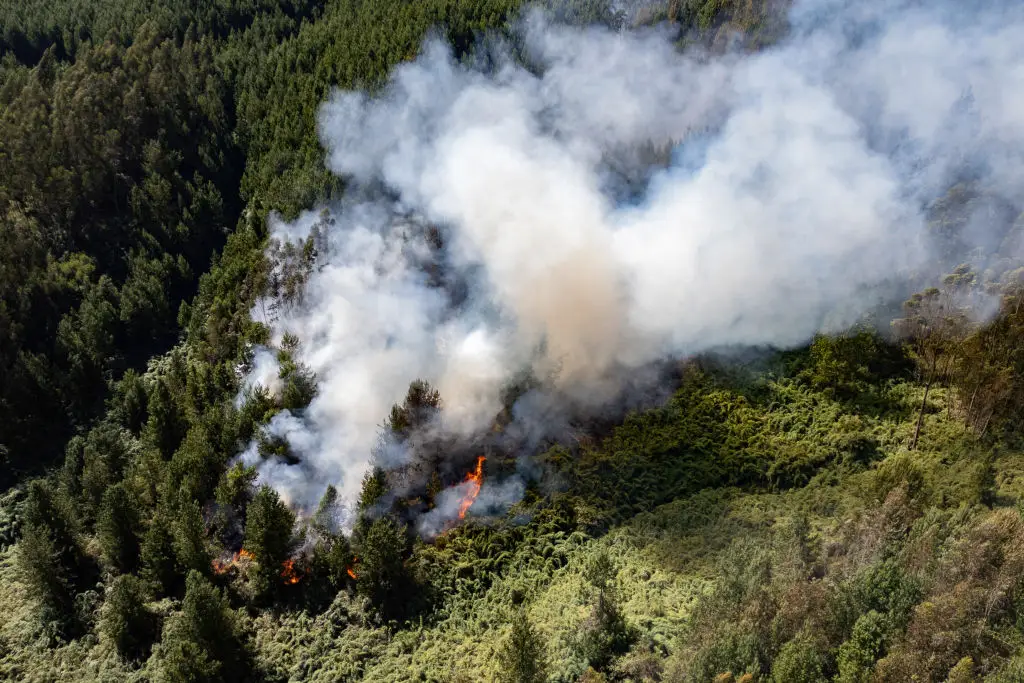 The impact of El Niño varies around the world (LUIS ACOSTA/AFP via Getty Images)
