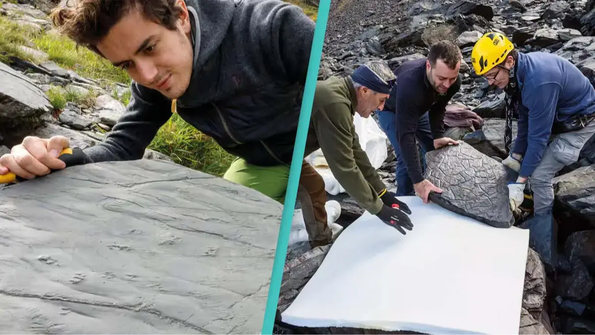 Museo di Storia Naturale Milano