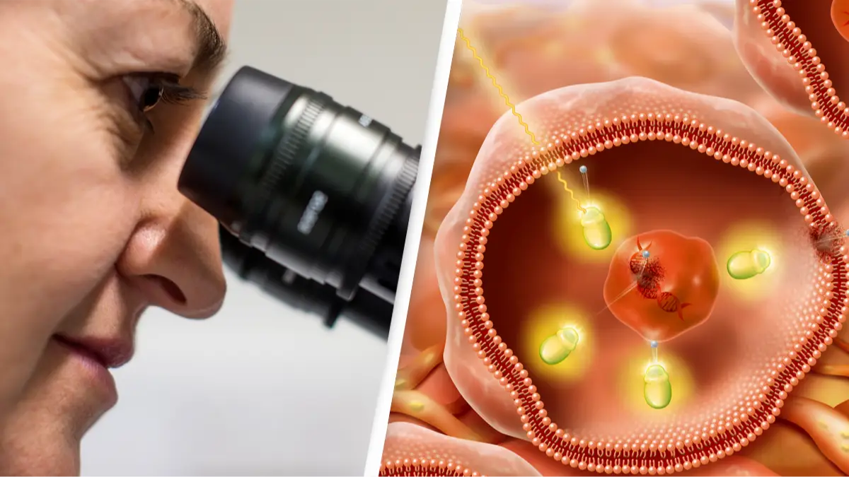 Getty Images/Dan Kitwood/Getty Images/BSIP