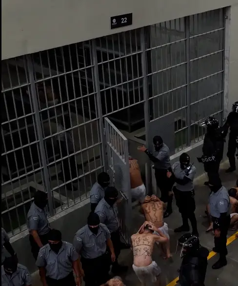 The crackdown on gang members has faced criticism from human rights organisations.