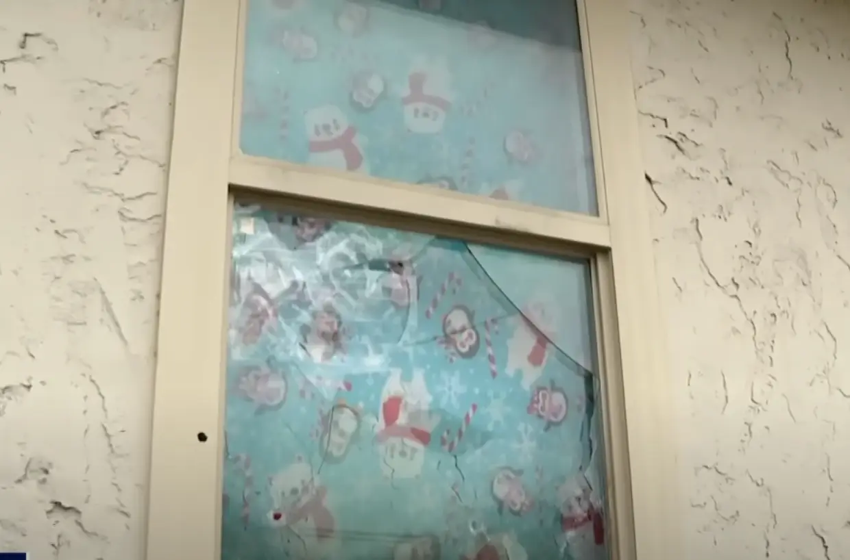 Following multiple burglaries in the area and four attempted at her own home, Wallace decided to purchase a firearm.