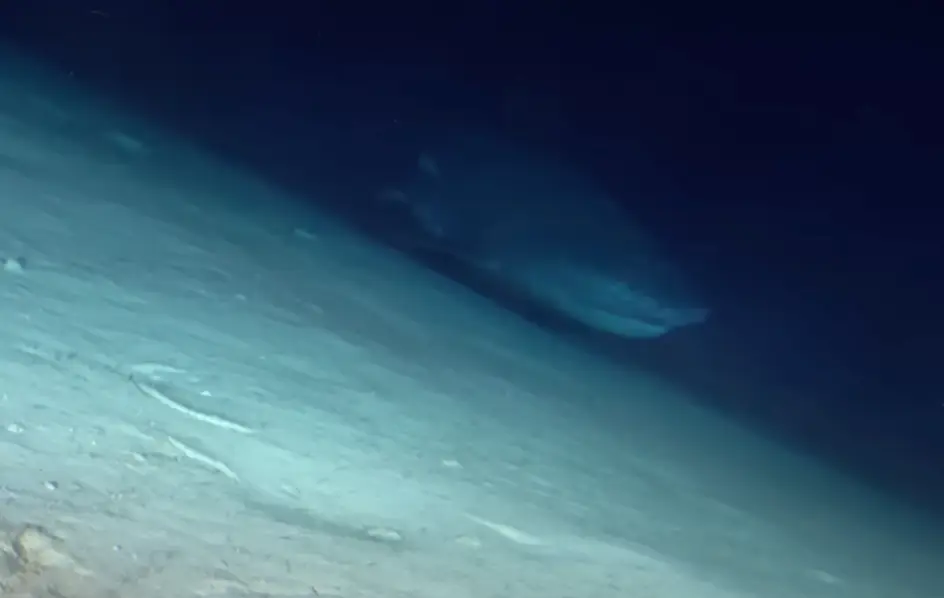 Just you wait until you see it up close.