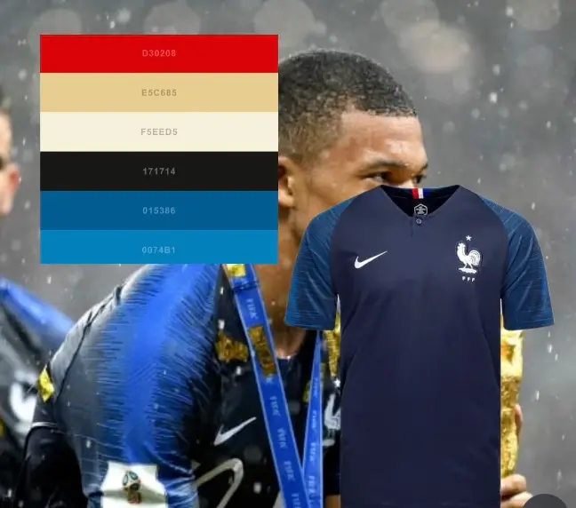 She claimed that the 2018 colors foresaw France winning the World Cup. (@dabblefantasy/Instagram)