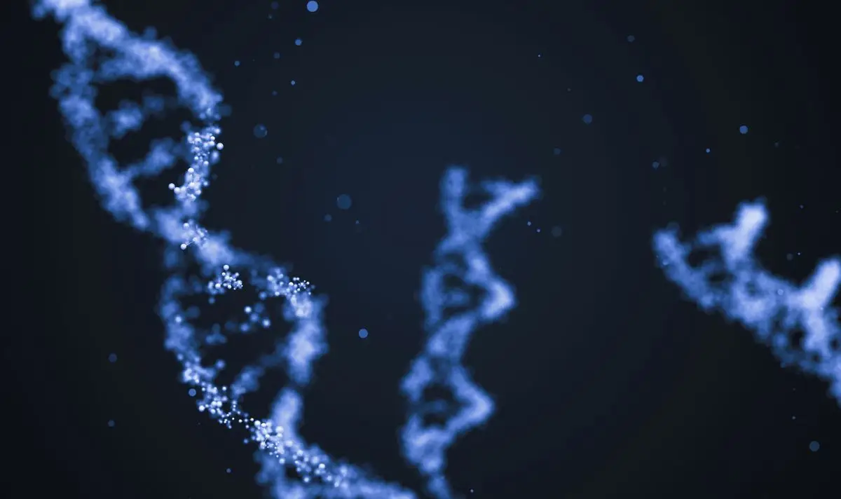 Scientists have been studying genomes to uncover the truth. (Getty stock images)