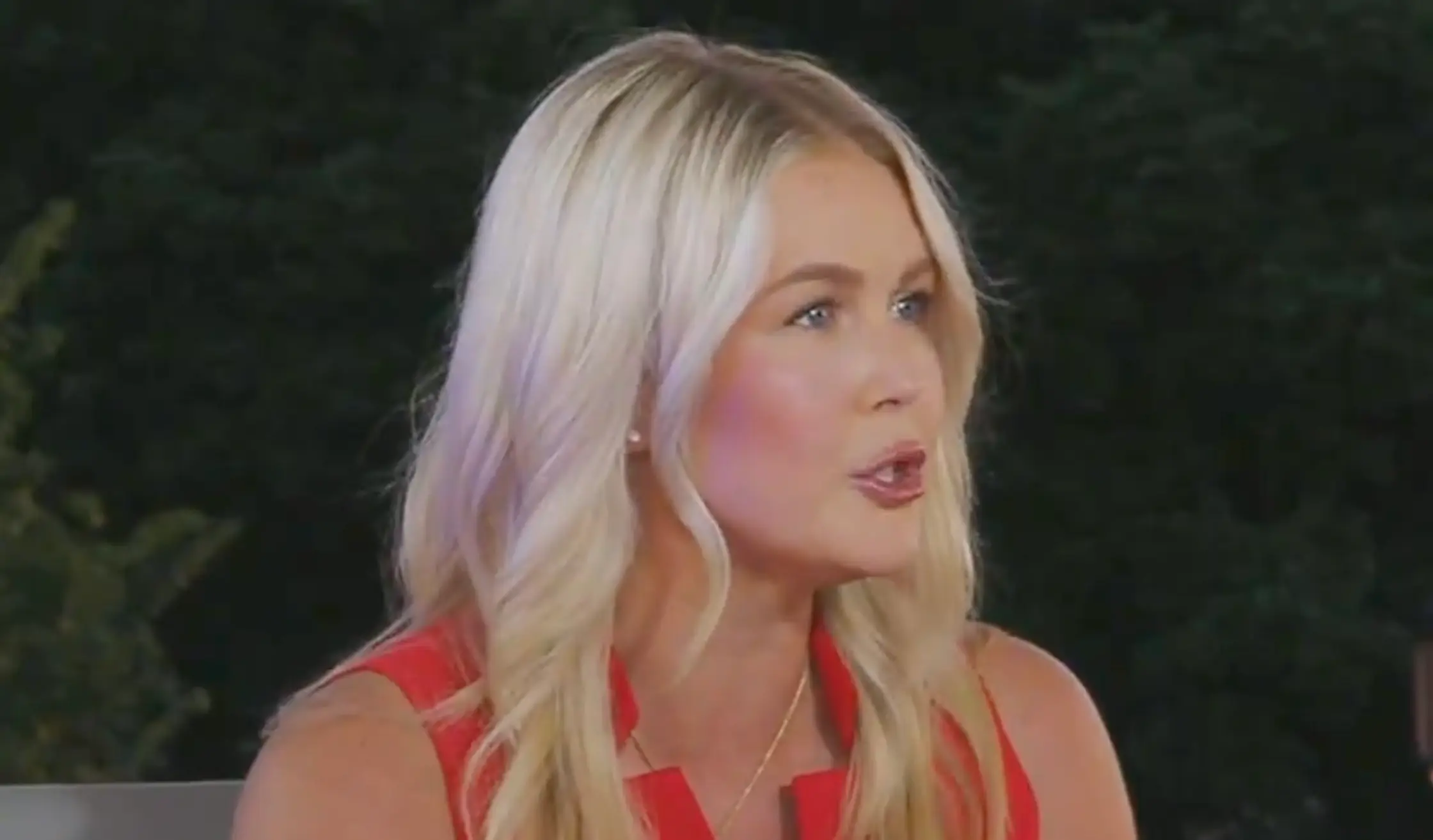 The mom-of-two warned that Gen Z need to 'protect' the American dream. (Fox News)