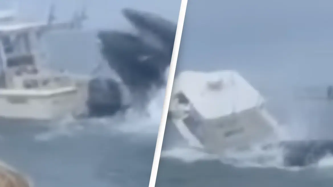 CBS Boston/Colin Yager