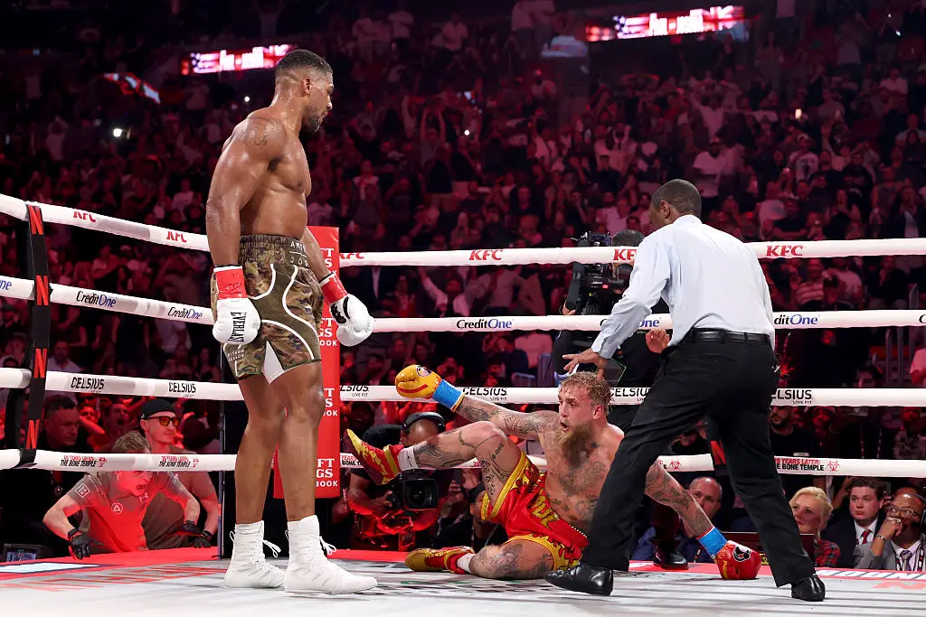 The fight lasted six rounds (Ed Mulholland/Getty Images for Netflix)