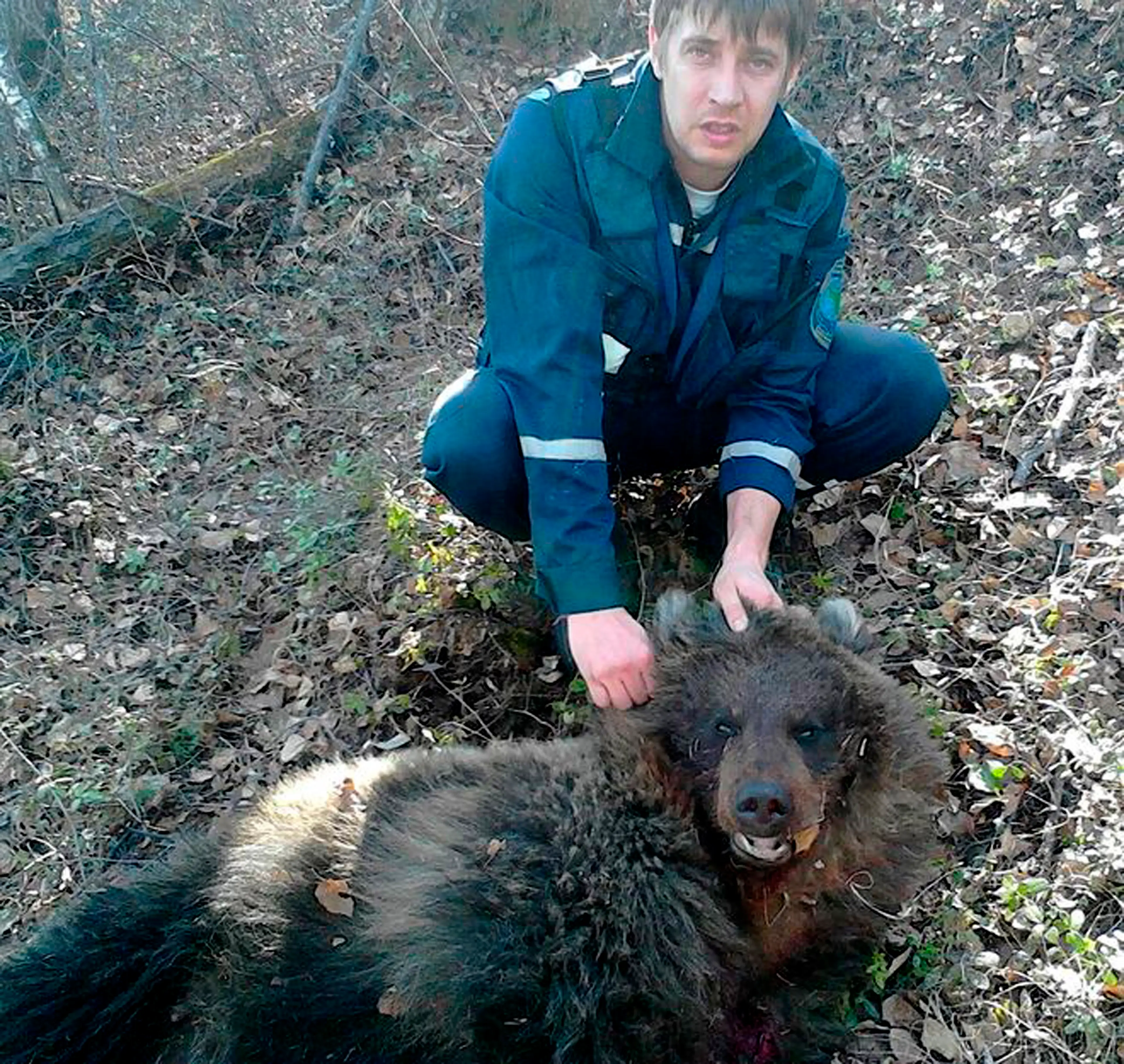 Sergei Ivanov slayed the bear, explaining how he witnessed the beast 'guarding its prey' (Tatyana Nikolaeva/The Siberian Times/Will Stewart/East2West)