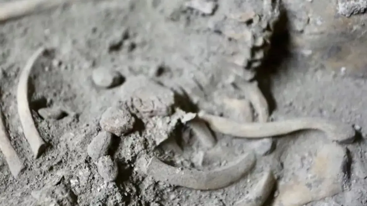 Courtesy of Fine Arts Department