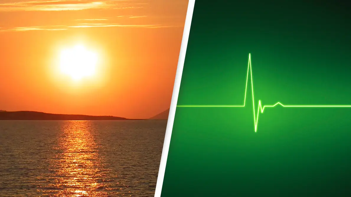 Jan Nelson/Wavebreak Media ltd/Alamy Stock Photo