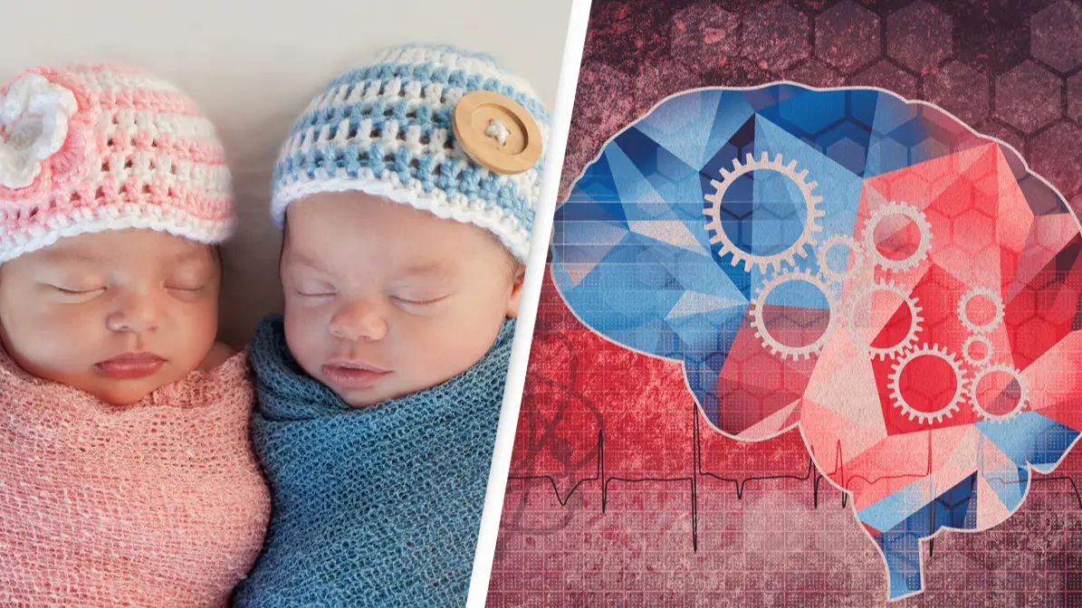 Getty Images/katrinaelena/Getty Images/SEAN GLADWELL