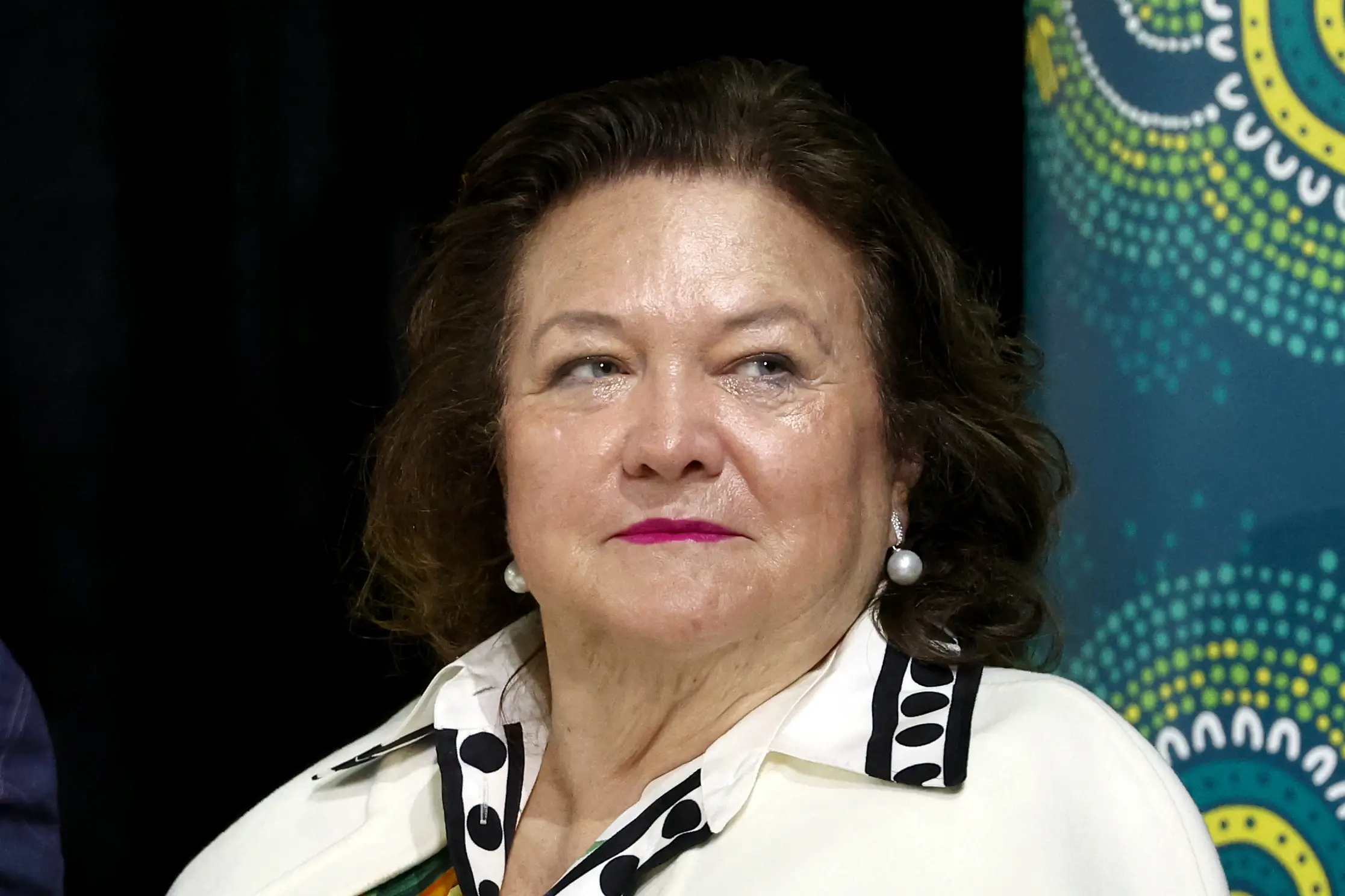Billionaire Gina Rinehart is offering cash prizes to medal-winning swimmers (DAVID GRAY/AFP /AFP via Getty Images)