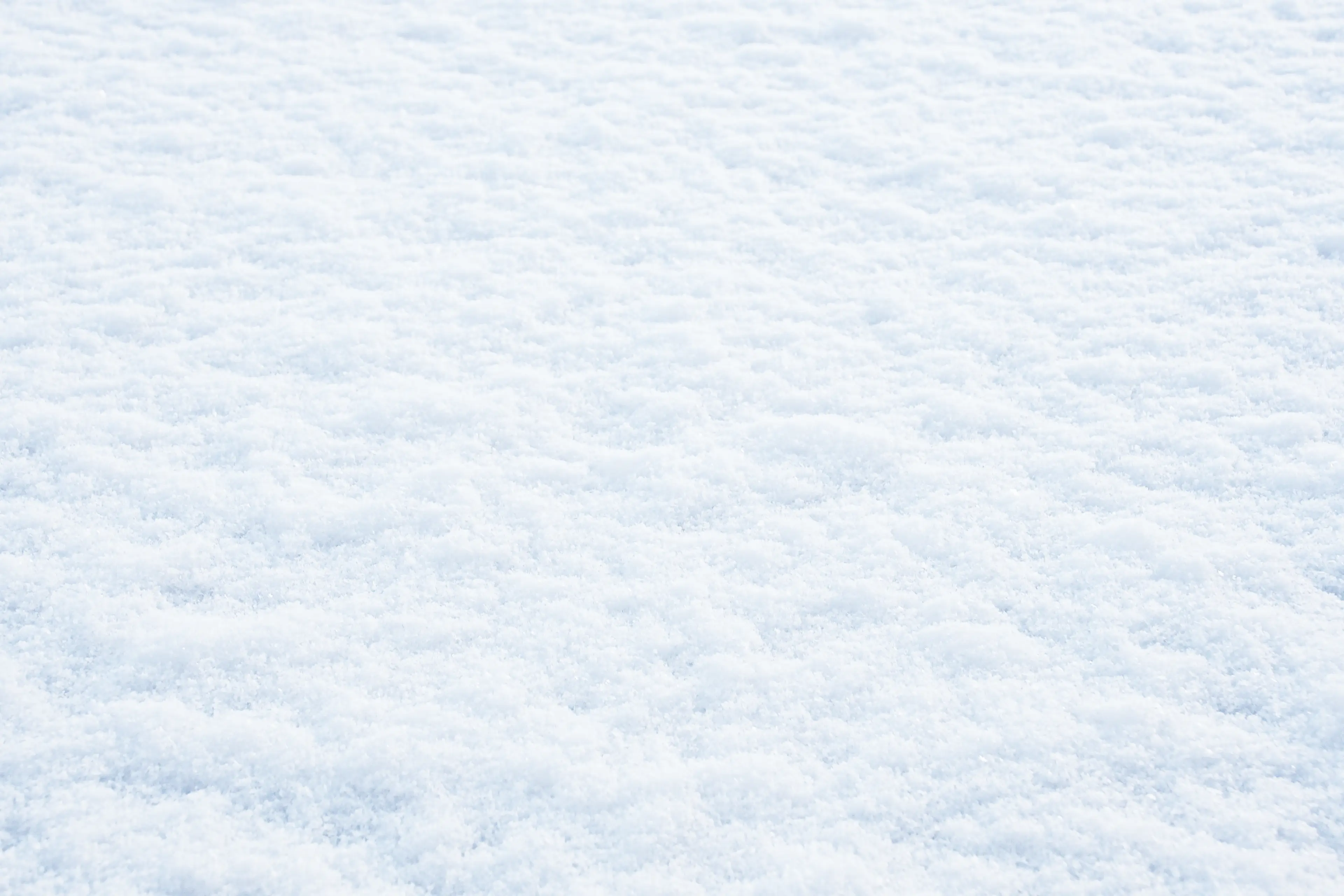 A 'White New Year' could be on the cards (Olga Siletskaya/Getty Images)