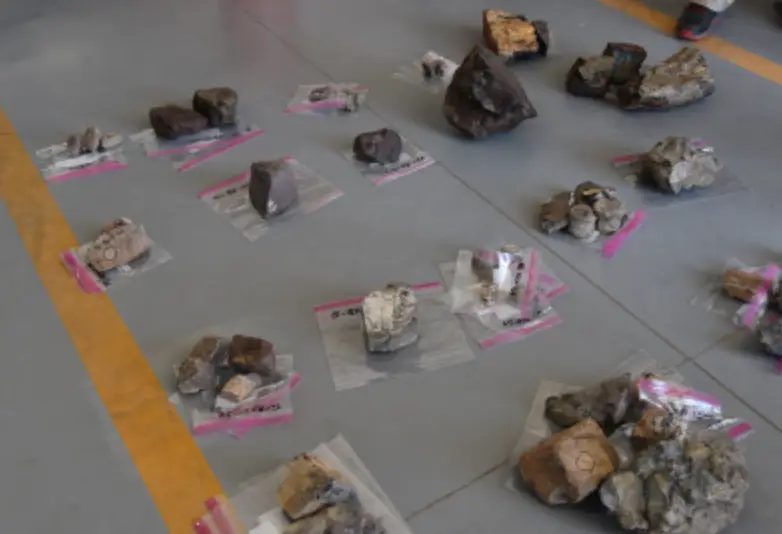 150,000lbs of bones and resources were removed.