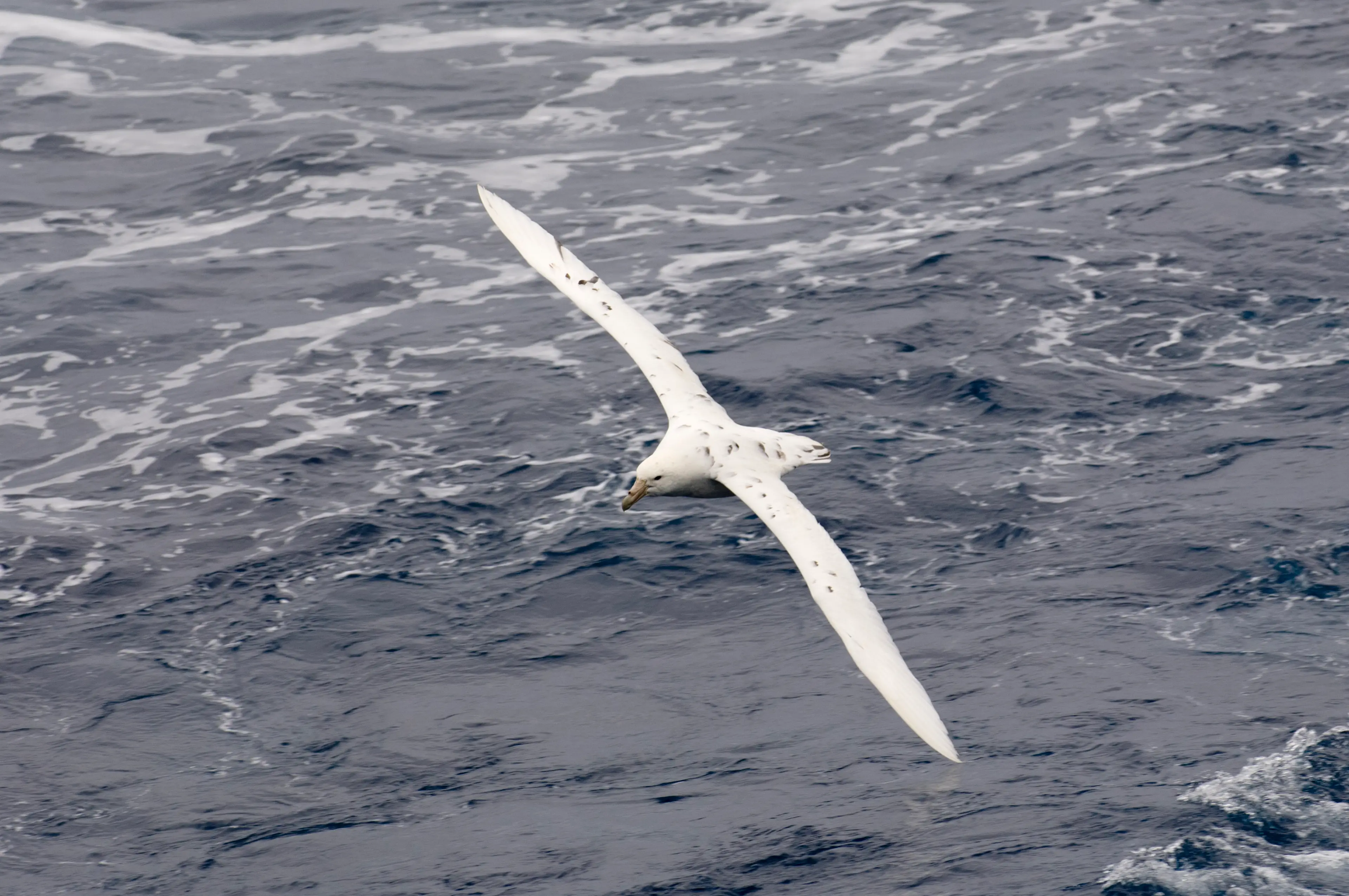 I'll take the route he's taking thanks (Sharpshooters /VW Pics/Universal Images Group via Getty Images) 