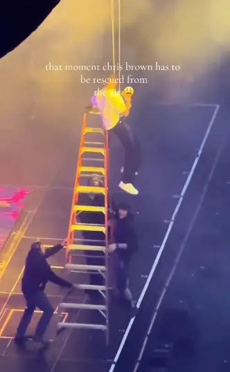 Chris Brown was left hanging (TikTok/@terriem89)