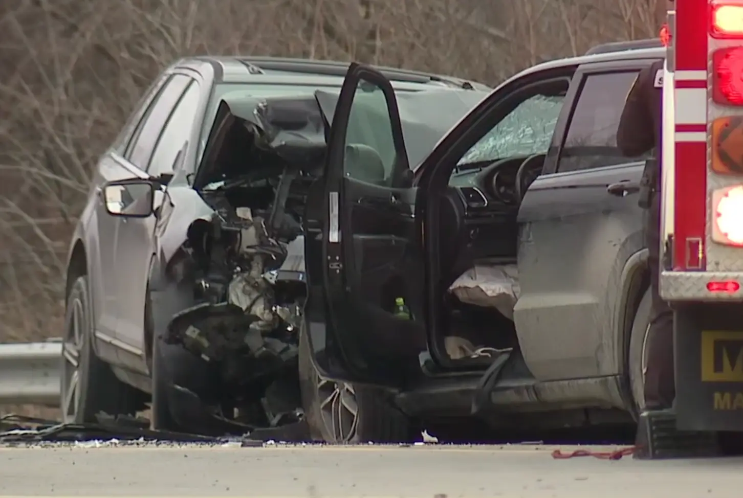 Marylou Levitan died in a car crash on Friday, December 27 (WXYZ Detroit)