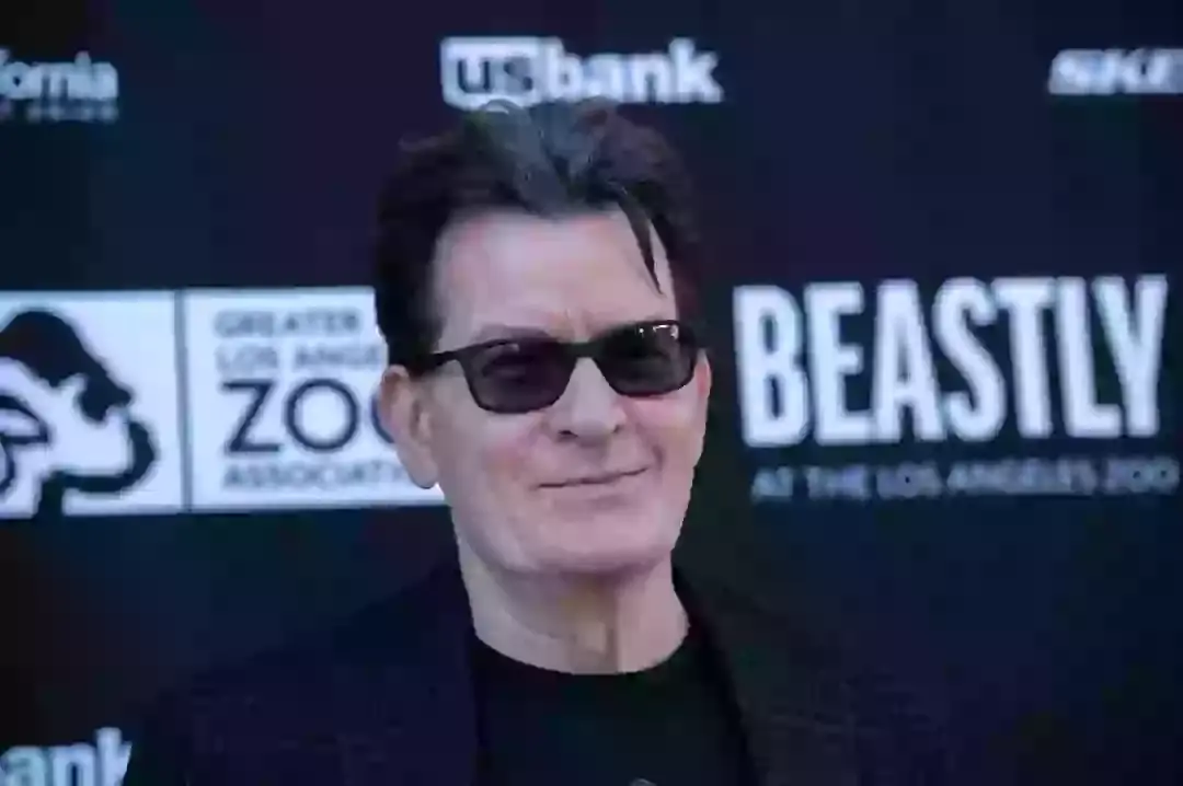 Charlie Sheen is releasing a new book and Netflix documentary (Amanda Edwards/Getty Images)