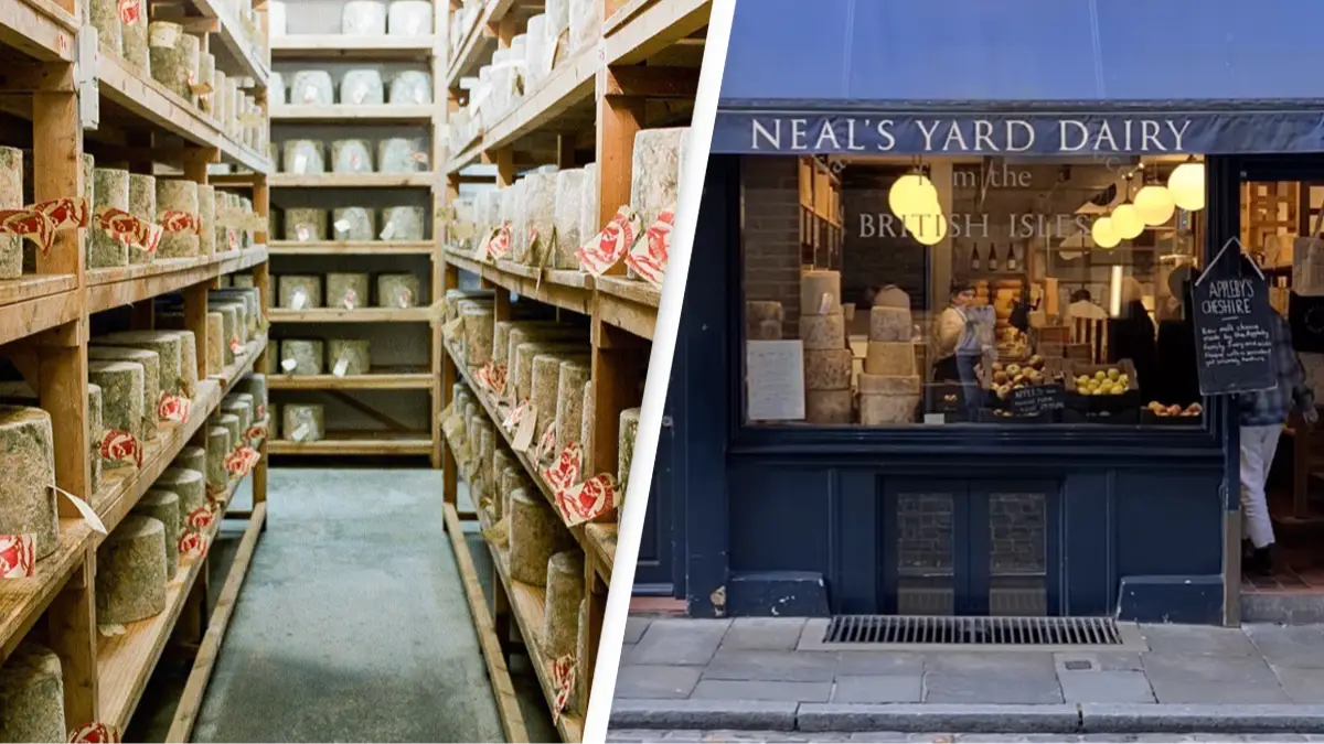 @nealsyarddairy/Instagram