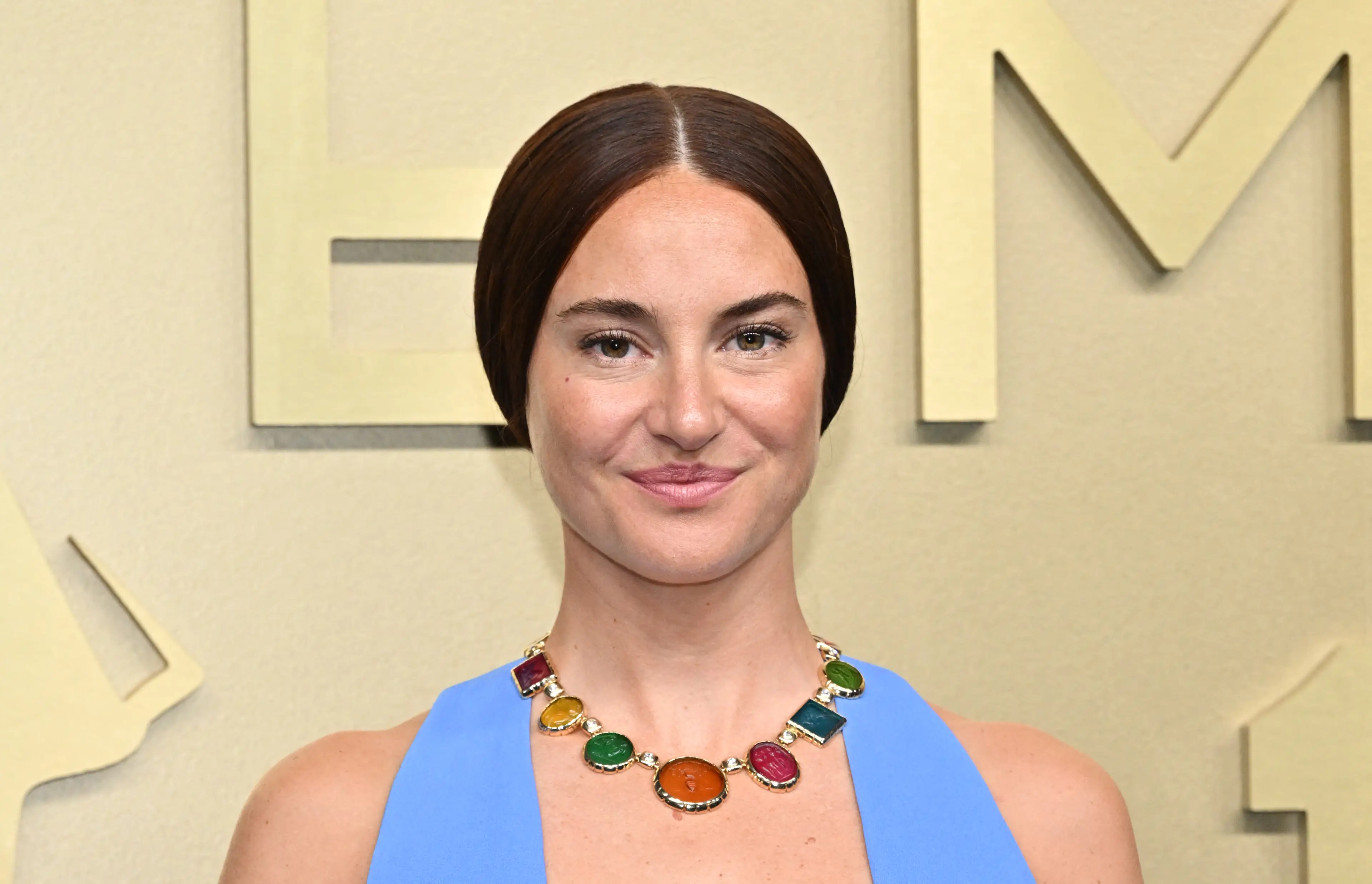 Shailene Woodley previously described being in a 'toxic situation' (LISA O'CONNOR/AFP via Getty Images)