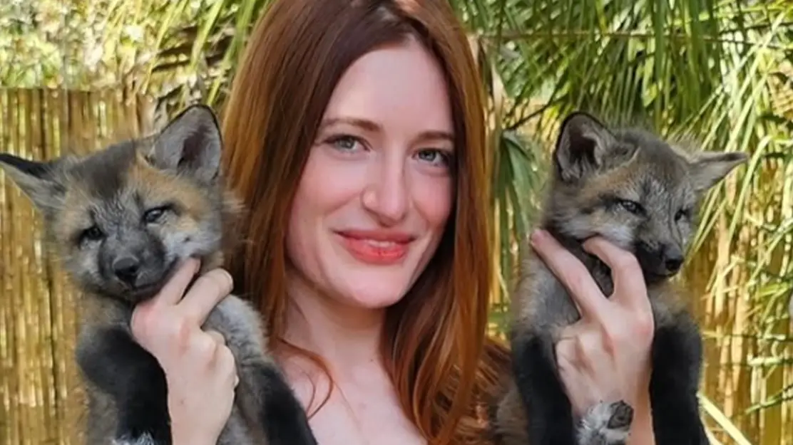 Instagram/@‌saveafox_rescue