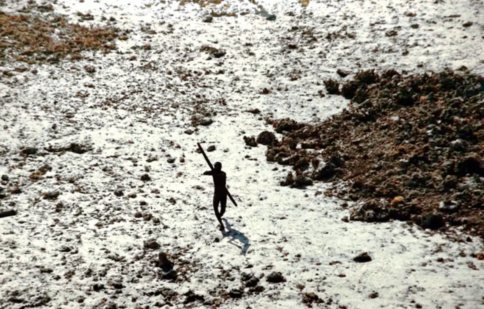 The Sentinelese tribe have been largely uncontacted (Survival International)