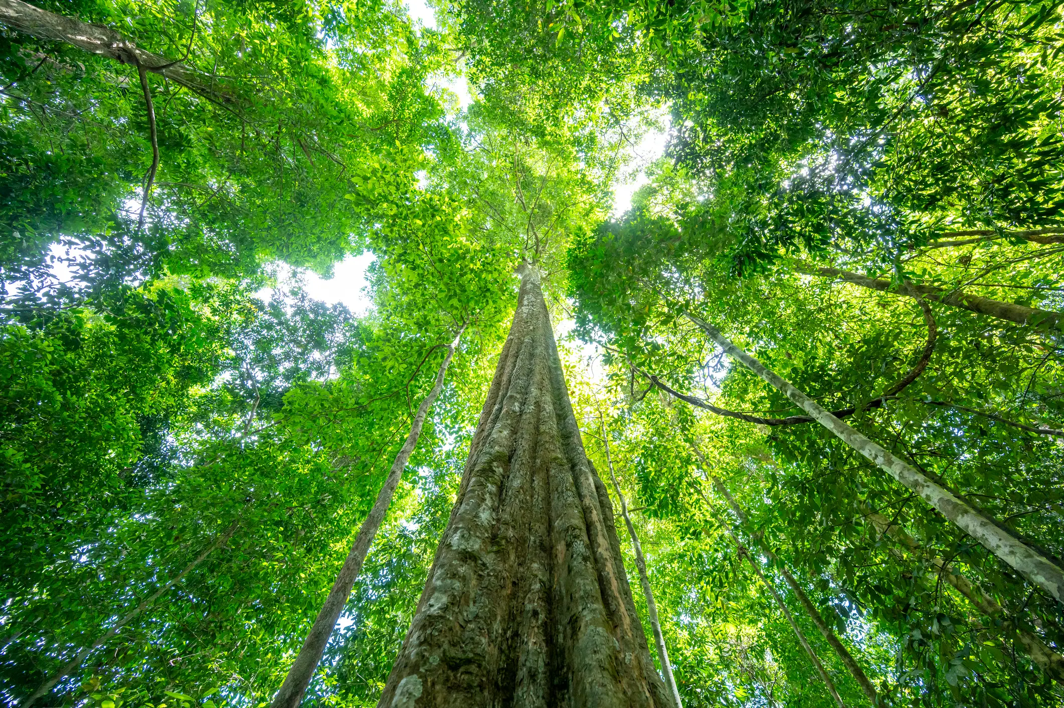 The simulation has shown what would happen (Getty Stock Photo)