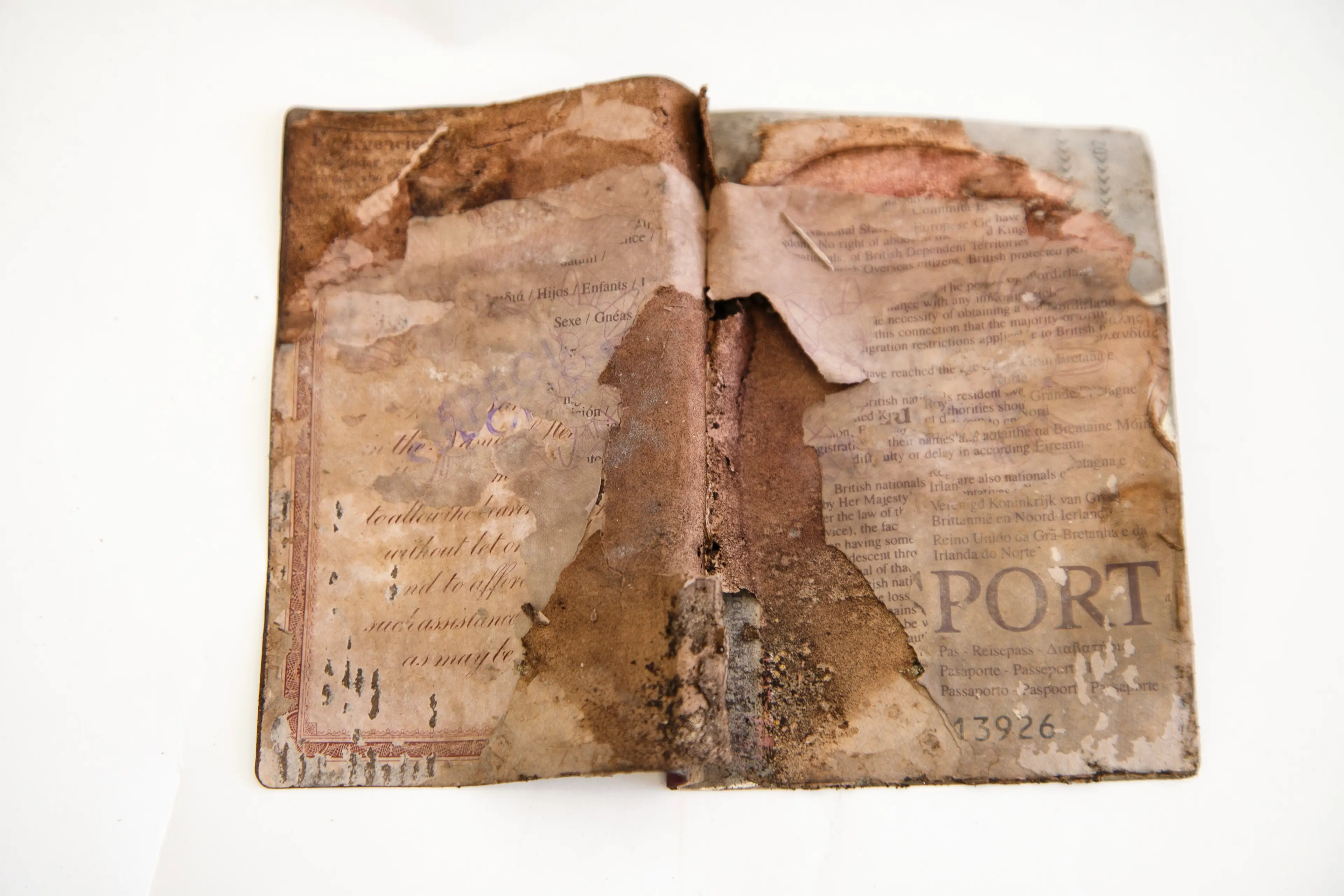 The passport (Great Ormond Street Hospital/PA Wire)